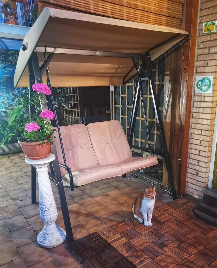 Guest House Il Limone Nascosto Рим Экстерьер фото